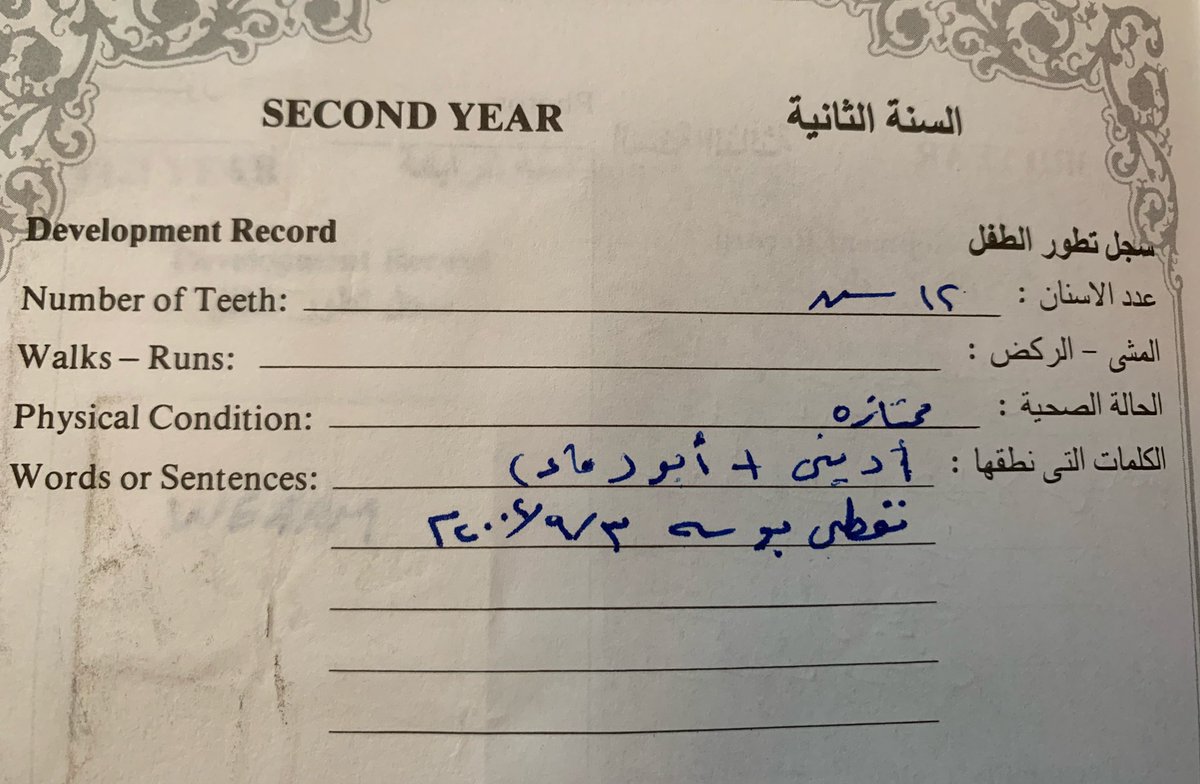 إيڤانجلين قبّاني tweet media