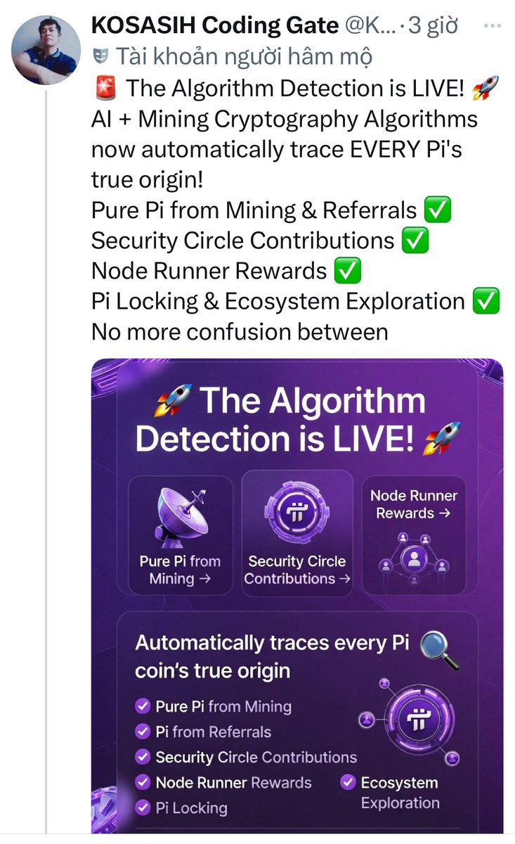 Van Chau Ly tweet media