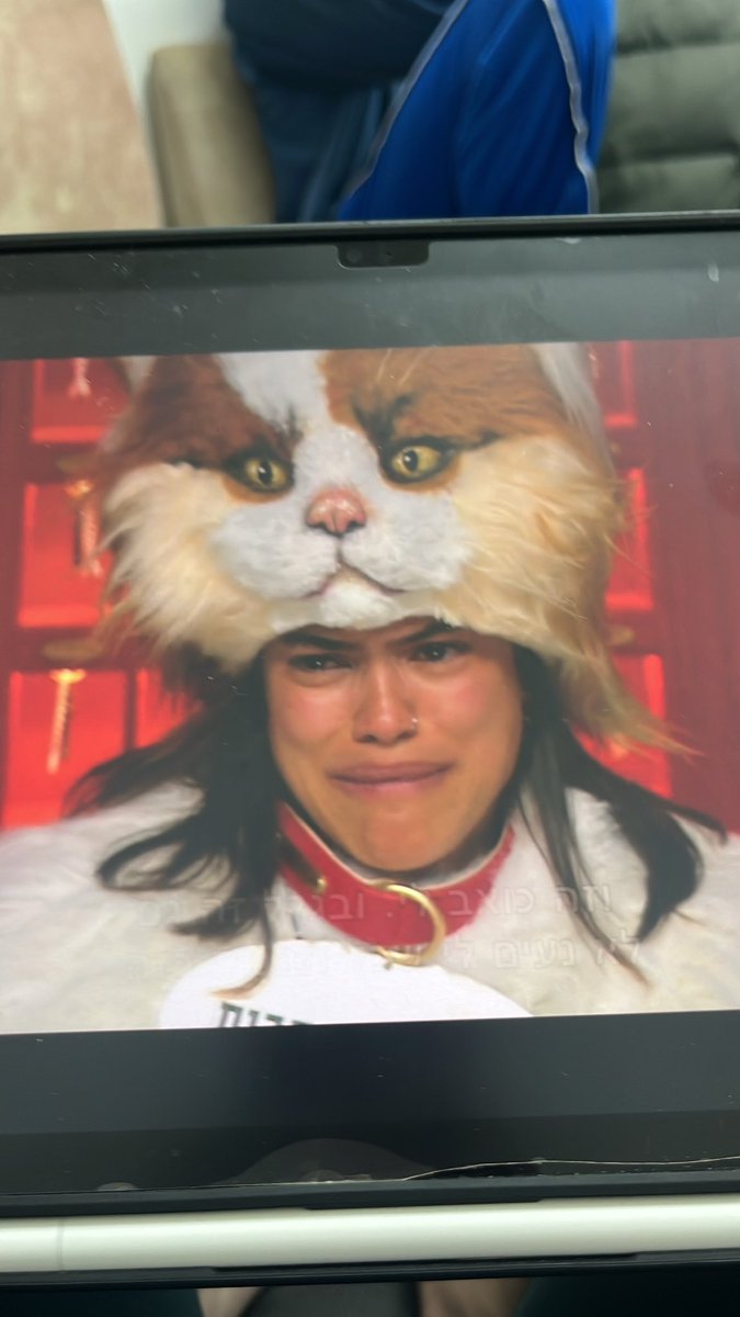 מאיה tweet media