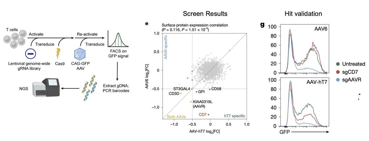 Justin Eyquem tweet media