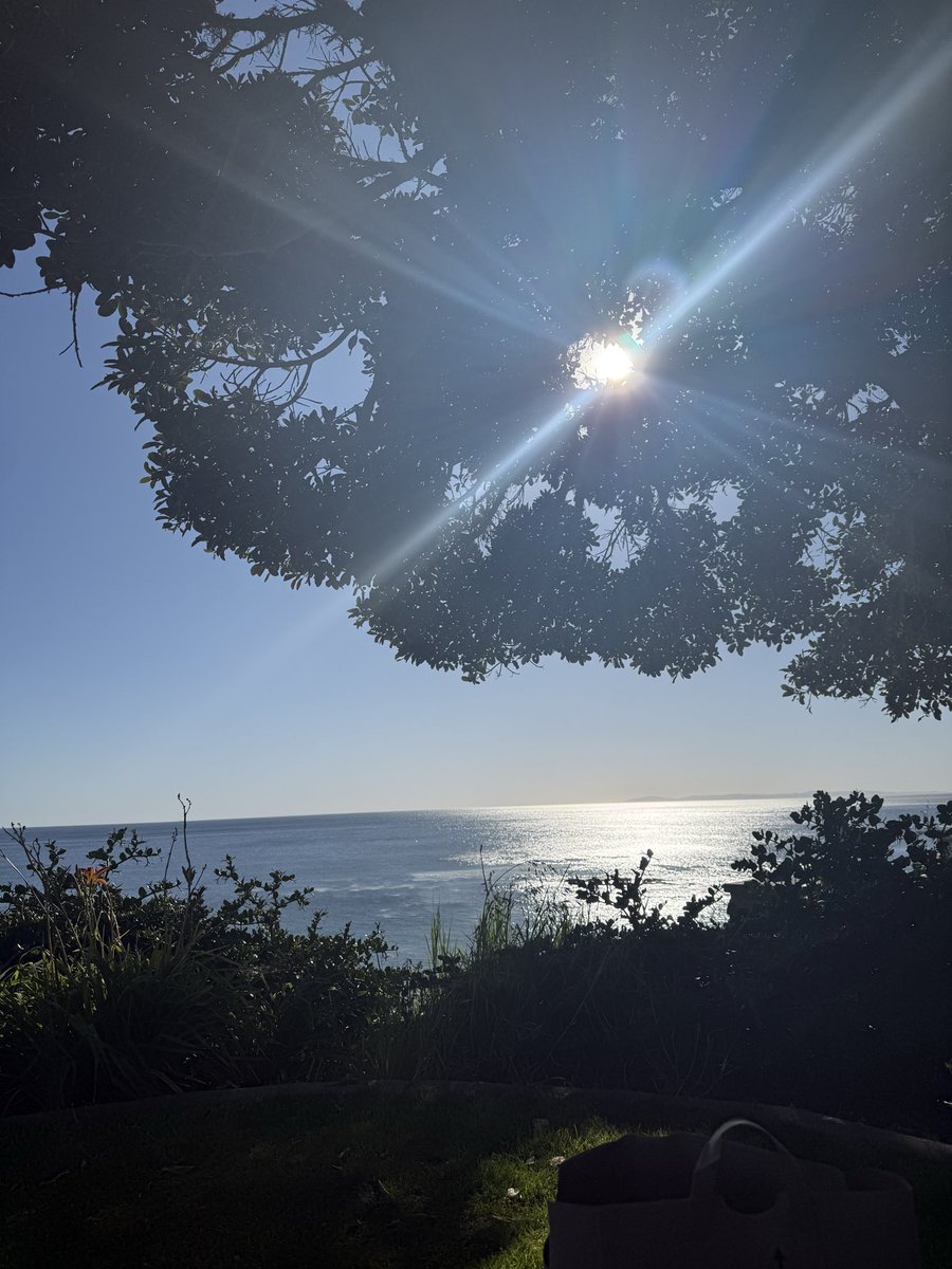 this and my açaí bowl