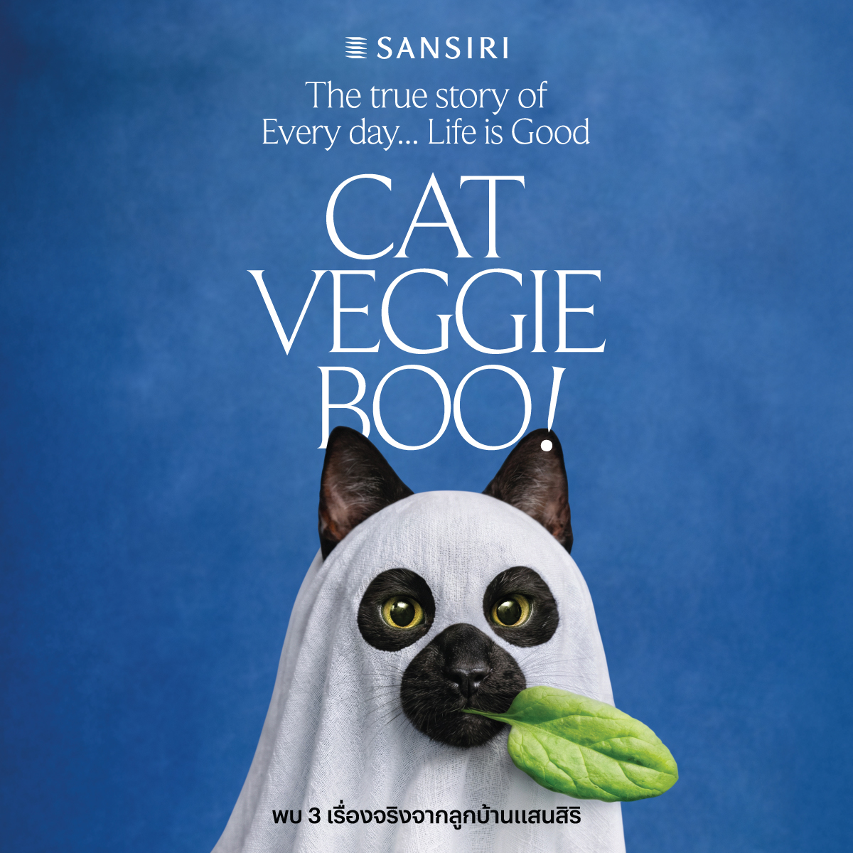 SansiriPLC's tweet photo. THE TRUE STORY OF EVERY DAY…LIFE IS GOOD

พบ 3 เรื่องจริง จากชีวิตดี…ทุกวันที่แสนสิริ
CAT – VEGGIE – BOO!

เรื่อง “การตามหา” แมวดำตัวหนึ่งที่หายไปในแสนสิริคอมมูนิตี้​​
เรื่อง “พลังใจดีๆ” จากความตั้งใจเล็กๆ ของทีมดูแลสวนส่วนกลาง​​
เรื่อง “แก๊งต่างวัย” กับรอยยิ้ม และกิจกรรมสนุกๆ ของโครงการ​

🎬 ชวนคุณมาชม 3 เรื่อง 3 โมเมนต์ดีๆ ที่เกิดขึ้นจริง​
เพราะชีวิตดีๆ เริ่มจากสังคมและการดูแลที่ใส่ใจ