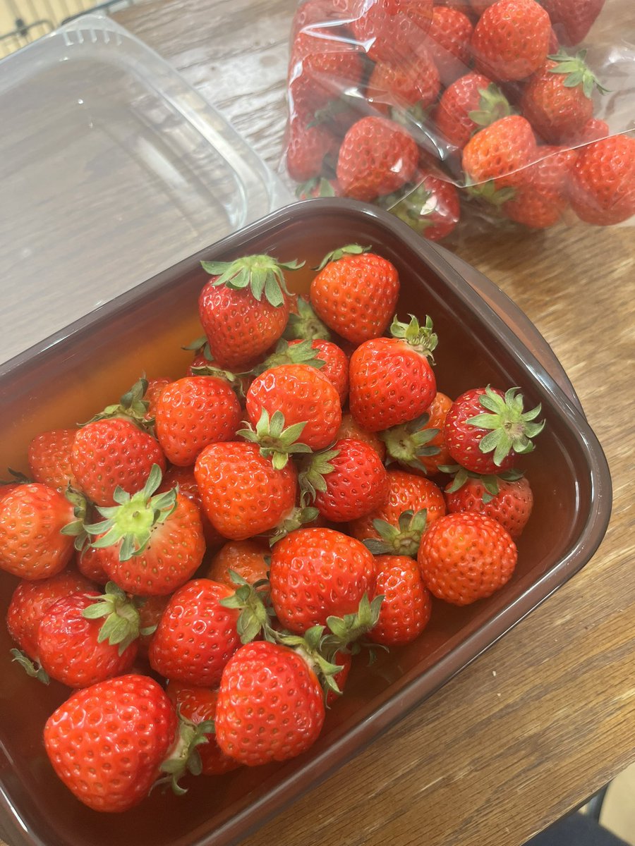 hinapi_0v0's tweet photo. いちご！いちご！
🍓🍓🍓✨️ https://t.co/H7lp8xg9hp