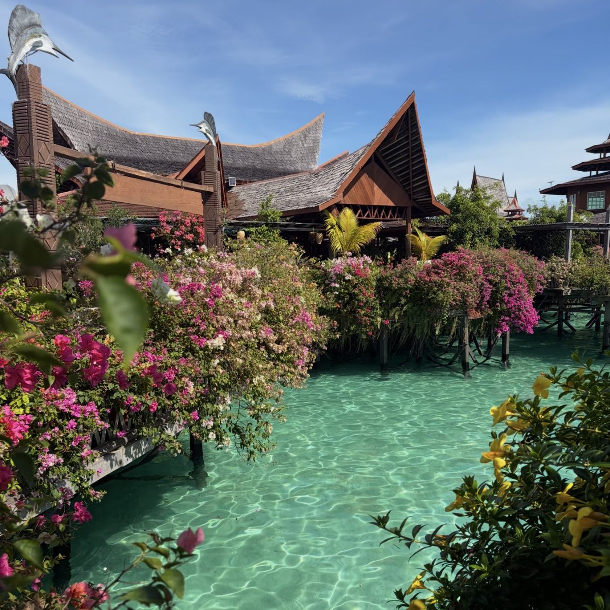 Noorie lova tweet media