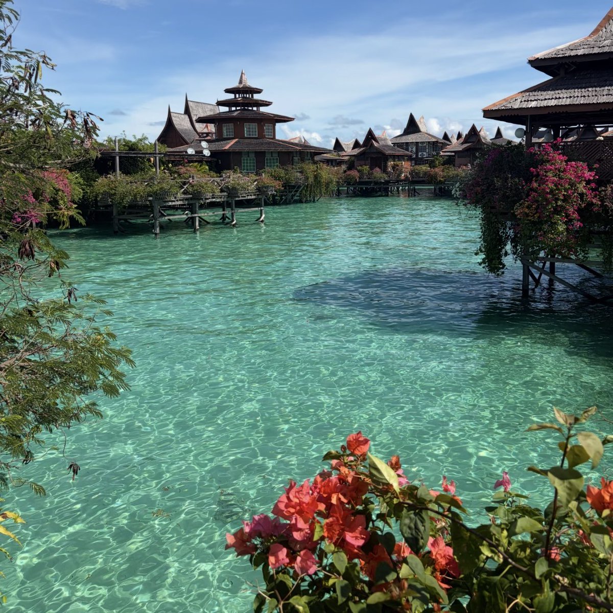 Noorie lova tweet media