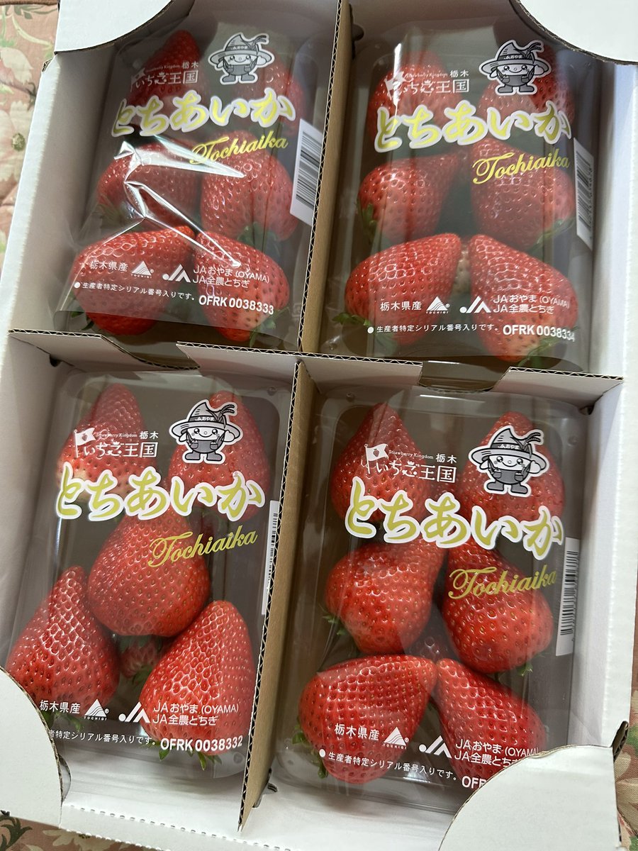 はやお/ VRC tweet media