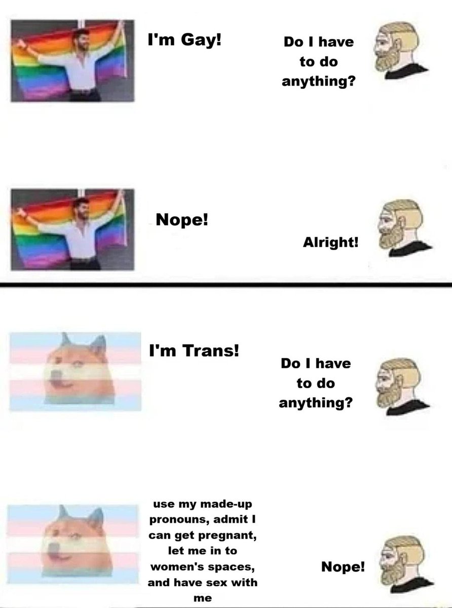 The Rabbit Hole tweet media