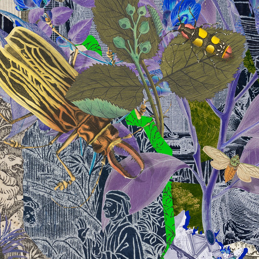 Archives and Special Collections tweet media