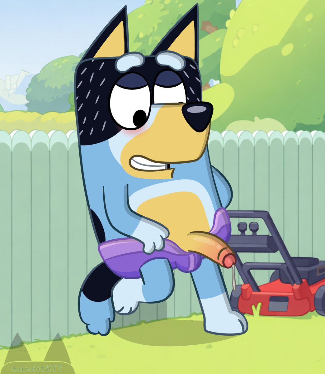 banditR17 tweet media