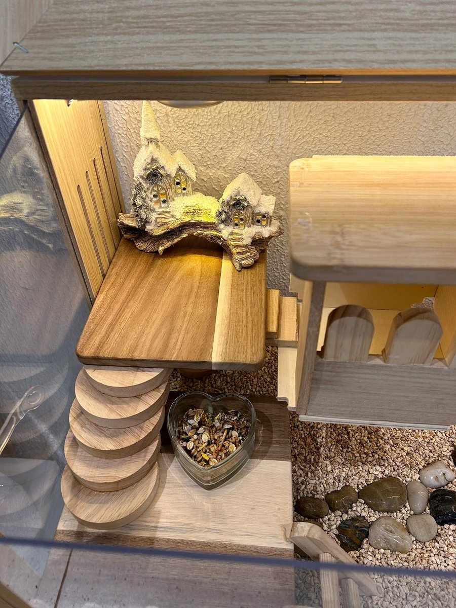 Elevar Technologies tweet media