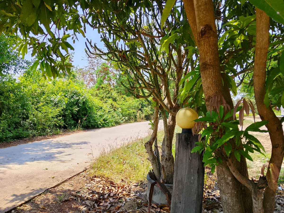 Sunatum Kongkay tweet media