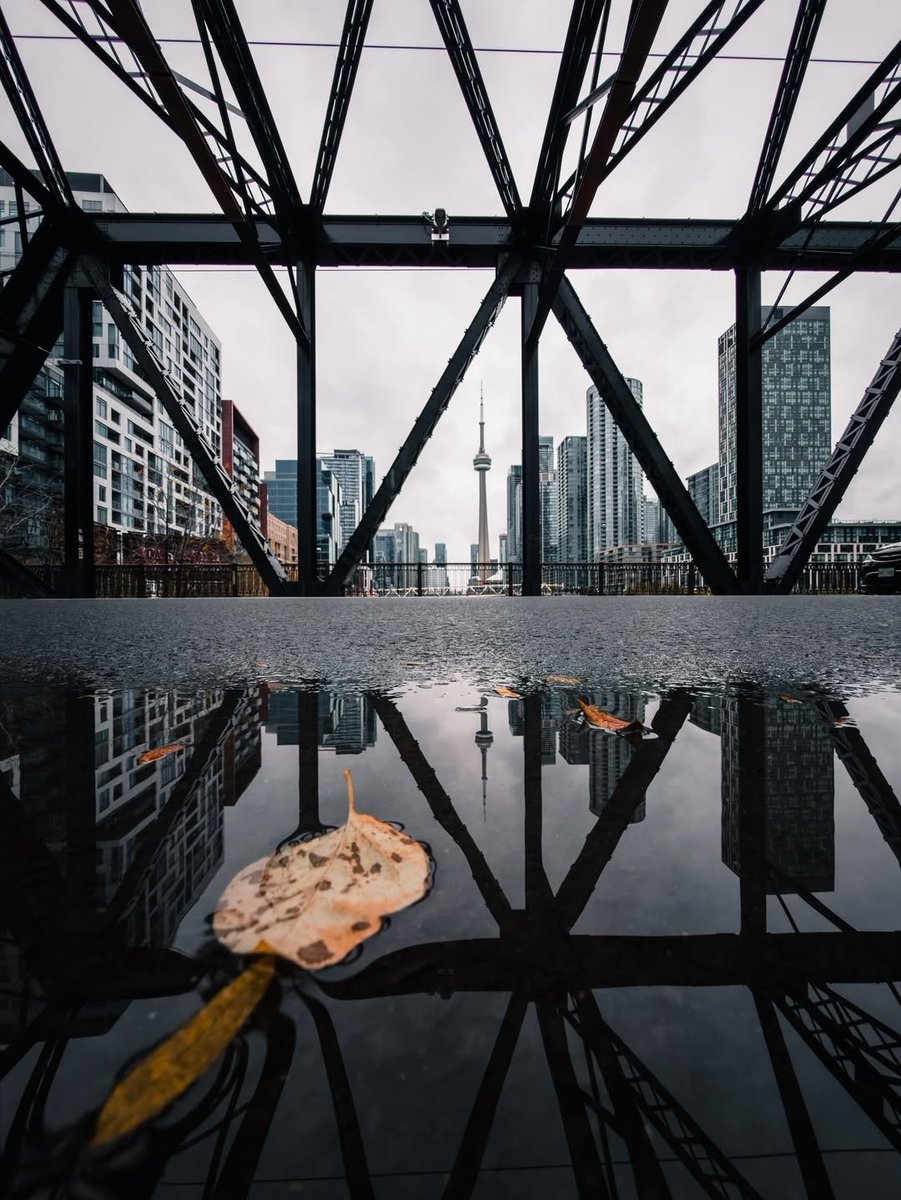 shot on iphone  tweet media