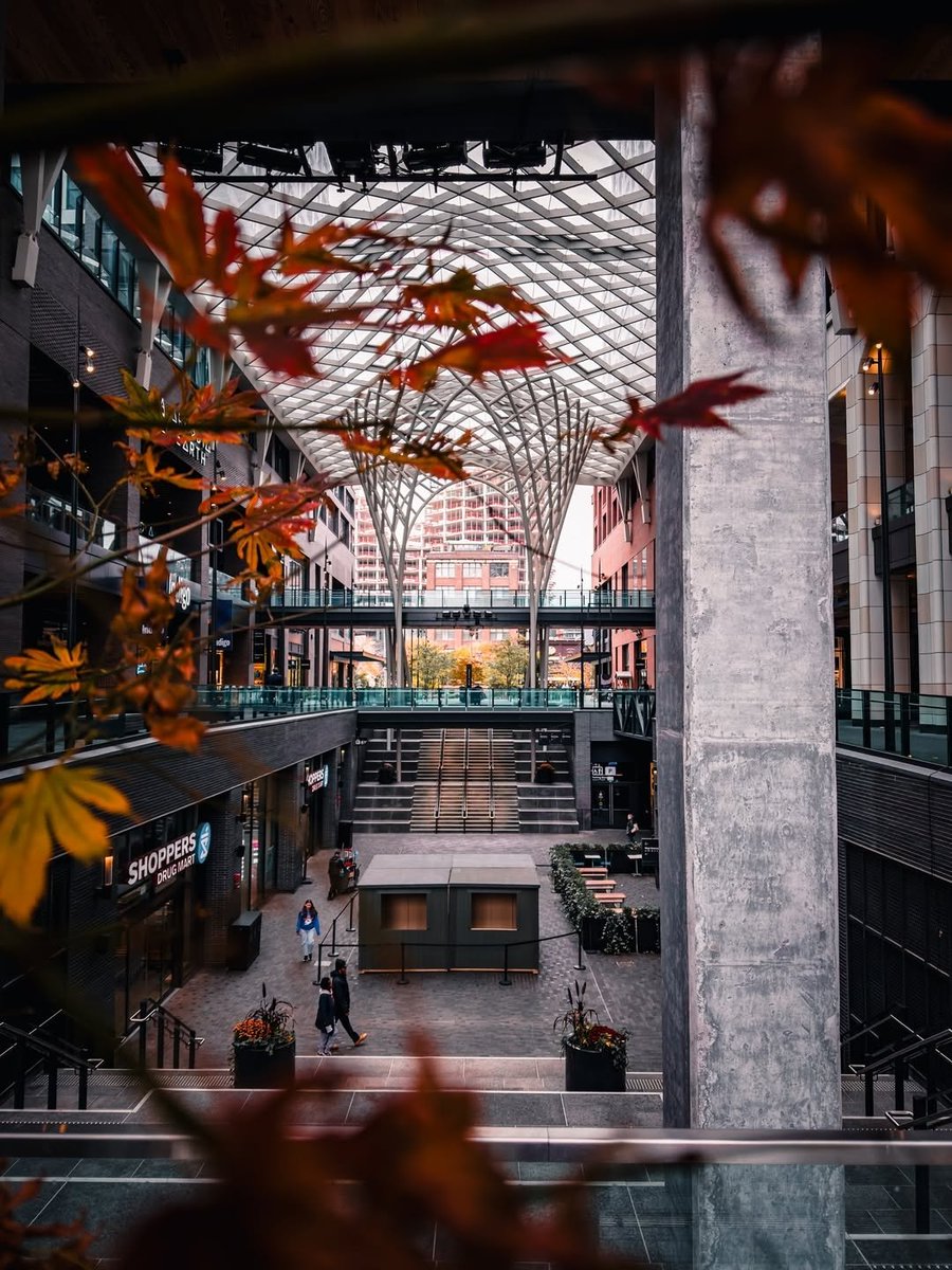 shot on iphone  tweet media