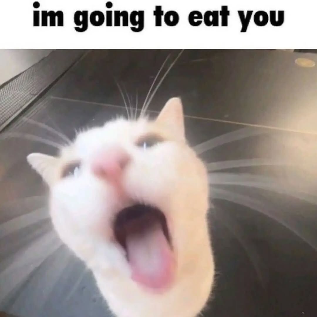 i drink soup tweet media