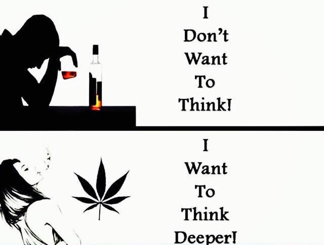 STONERS R US 🍃 tweet media