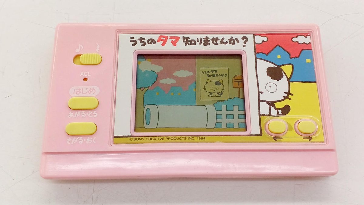 狸小路ぽん子（テルミンを弾く猫） tweet media