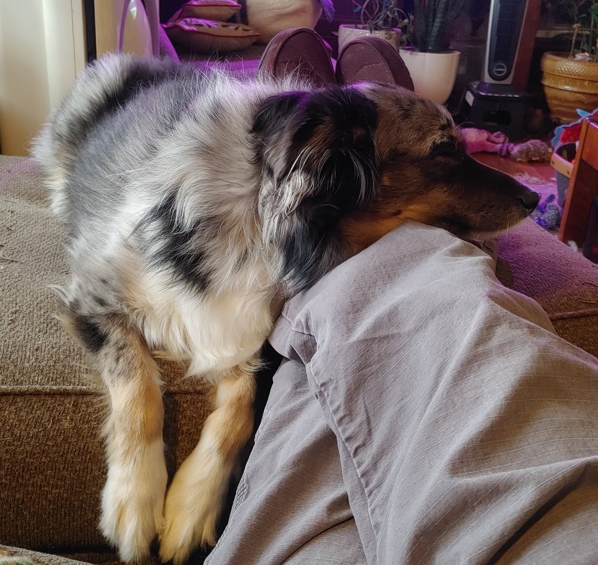 DISONE YAHDOG tweet media