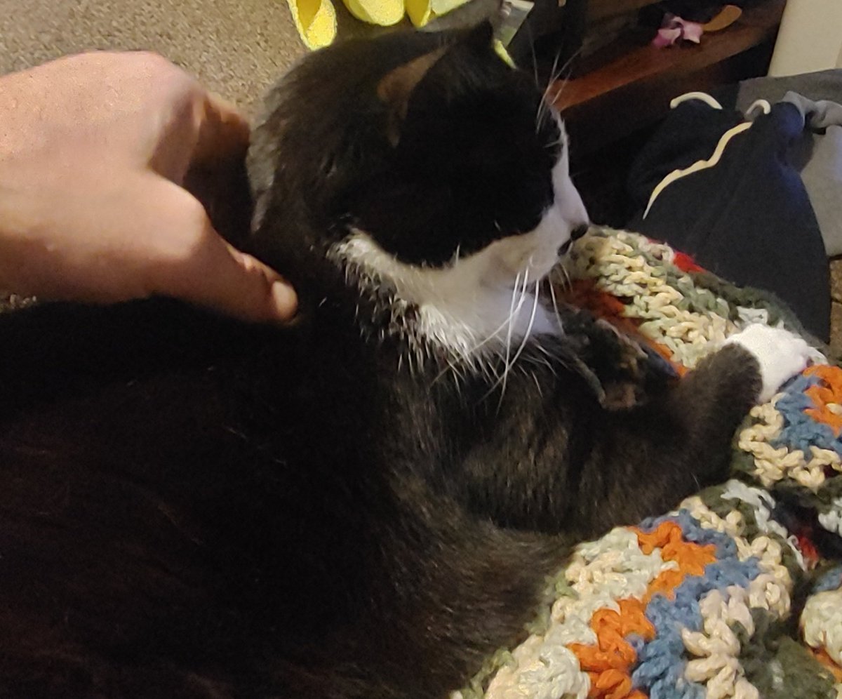 DISONE YAHDOG tweet media