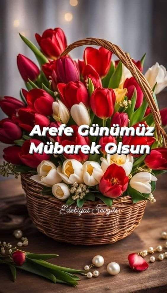 Nefertiti ♥️ tweet media