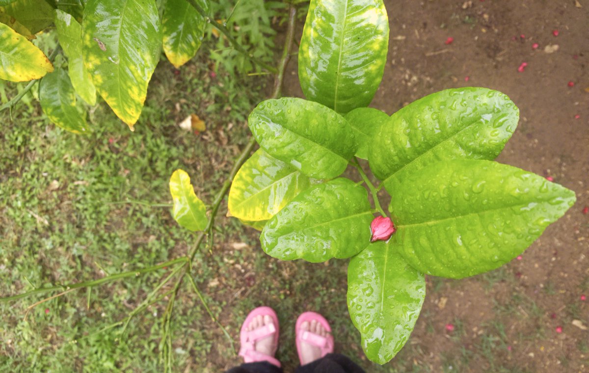 `۶ 𓏲༉ tweet media