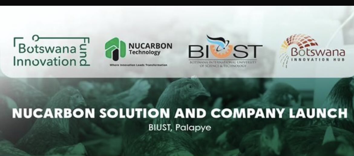 NalediMadala tweet media