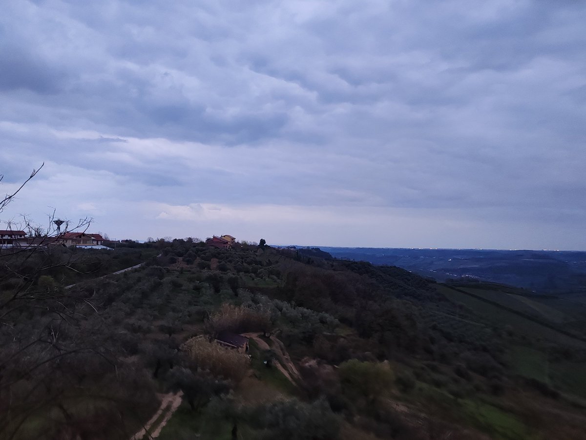 🌸:*☆:**: ✿ 𝐁𝕖lé𝓝 ✿:**:☆*:🌸 tweet media