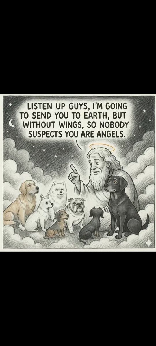 Miguel Garcia tweet media