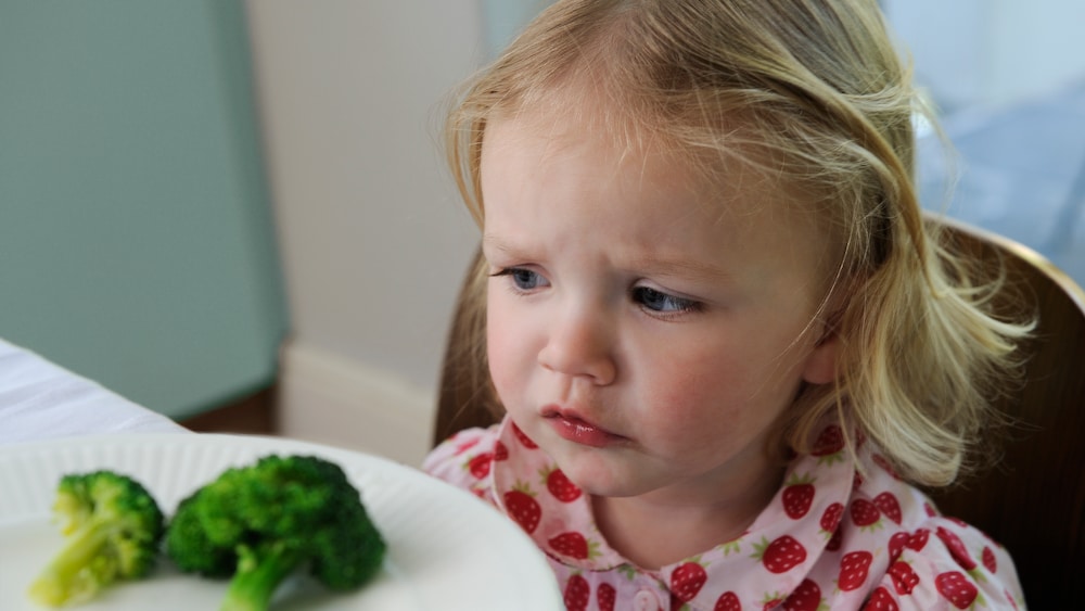 FOCUS online tweet media