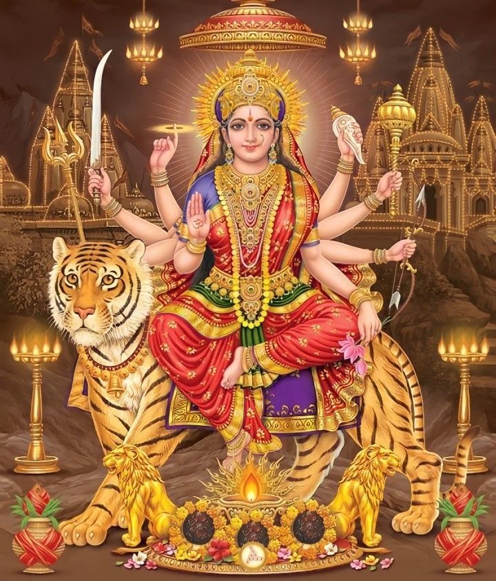 🌺Sai🌺 tweet media