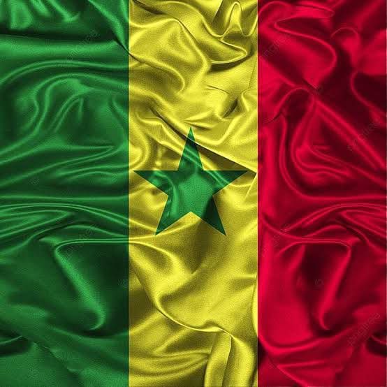 WisdomWise31664's tweet image. Le drapeau des #GUERRIER✊🏾 #NEVERGIVEUP✊🏾