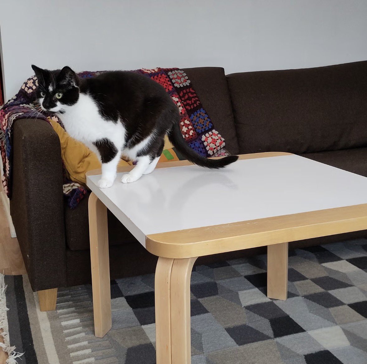 LumiPoupee ❄️ tweet media