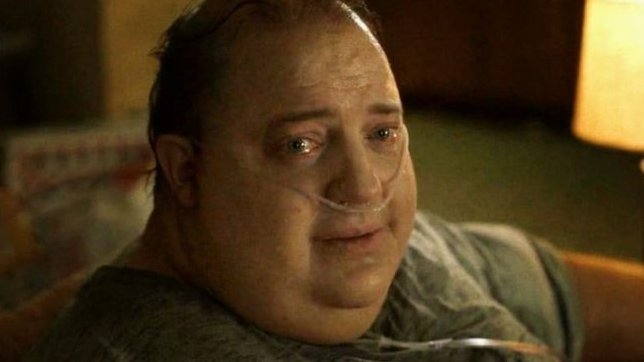 🏳️‍⚧️Rupture Protection🏳️‍⚧️ tweet media