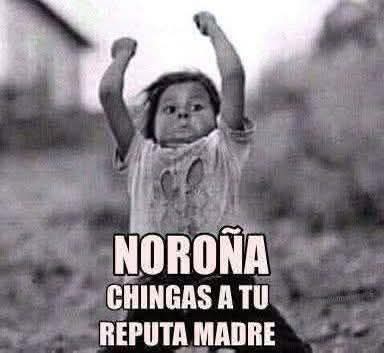 ram_ser87's tweet photo. @MexicoVsClaudia @fernadeznorona Puto Lloroña de mierda https://t.co/UzgZY2gjXF