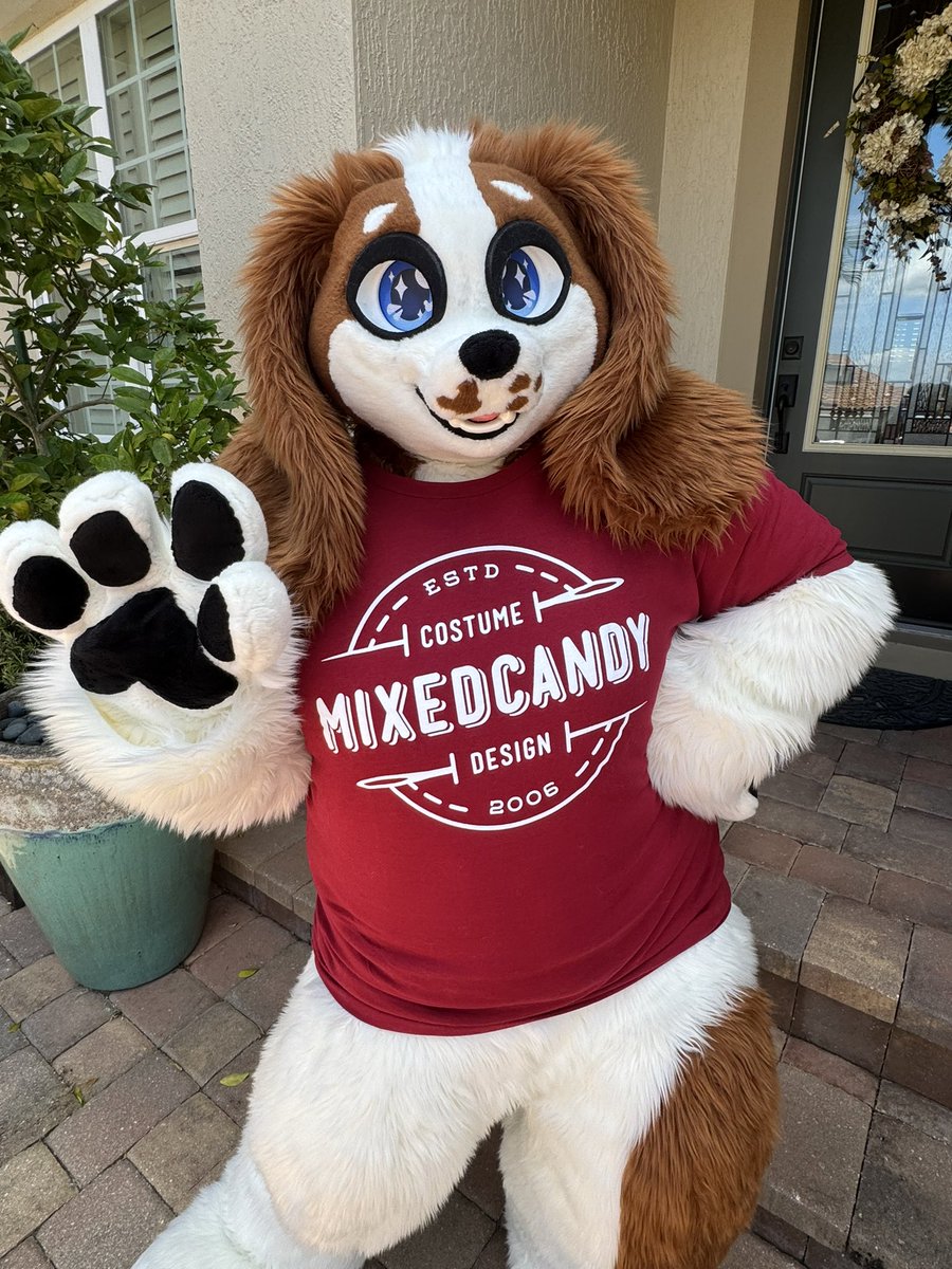 Sunnie the Spaniel ➡️ Megaplex 2026 🦕 tweet media