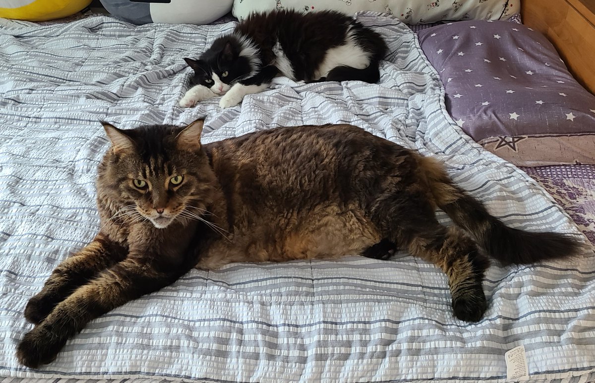 오늘도 겨우 tweet media