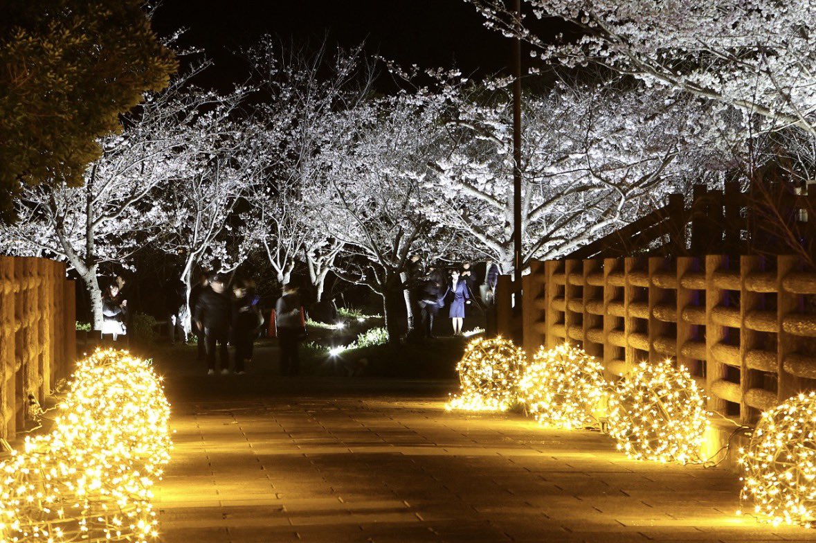 山陽電車【公式】 tweet media