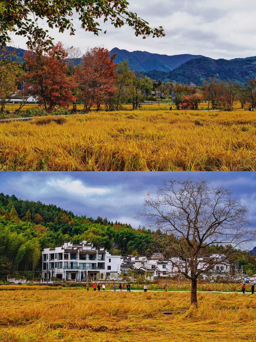 Michael Pantoja tweet media