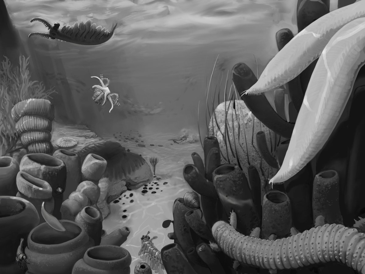 Mauricio tweet media