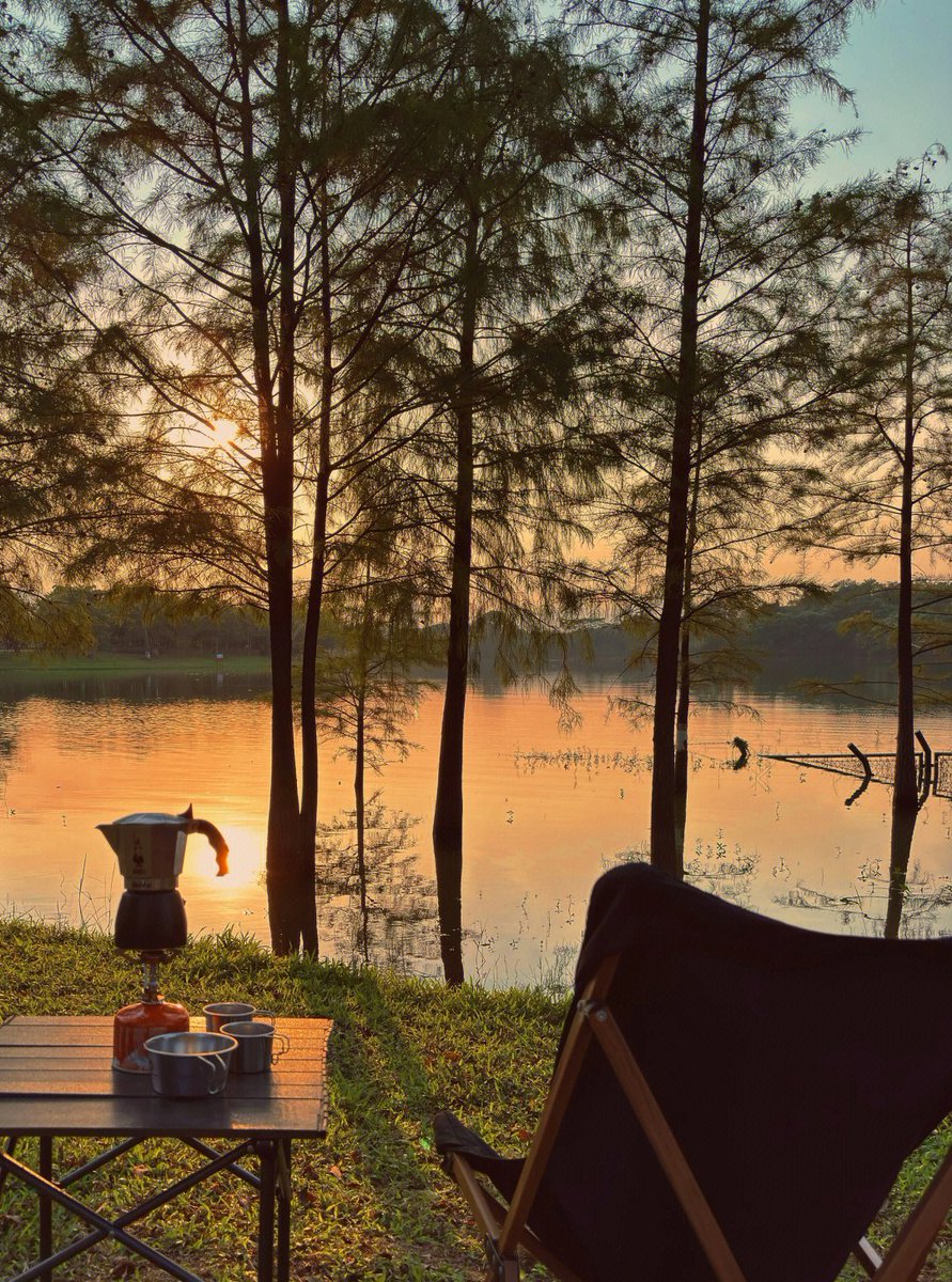 Лера Пилипенко tweet media