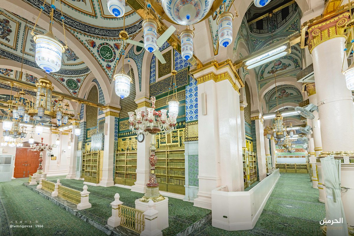 ززز زياد tweet media