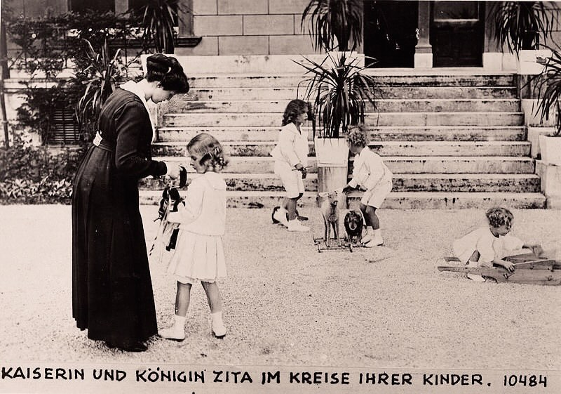 The OverRider tweet media