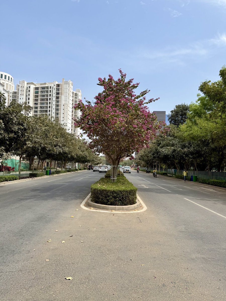 Jasveer Singh tweet media