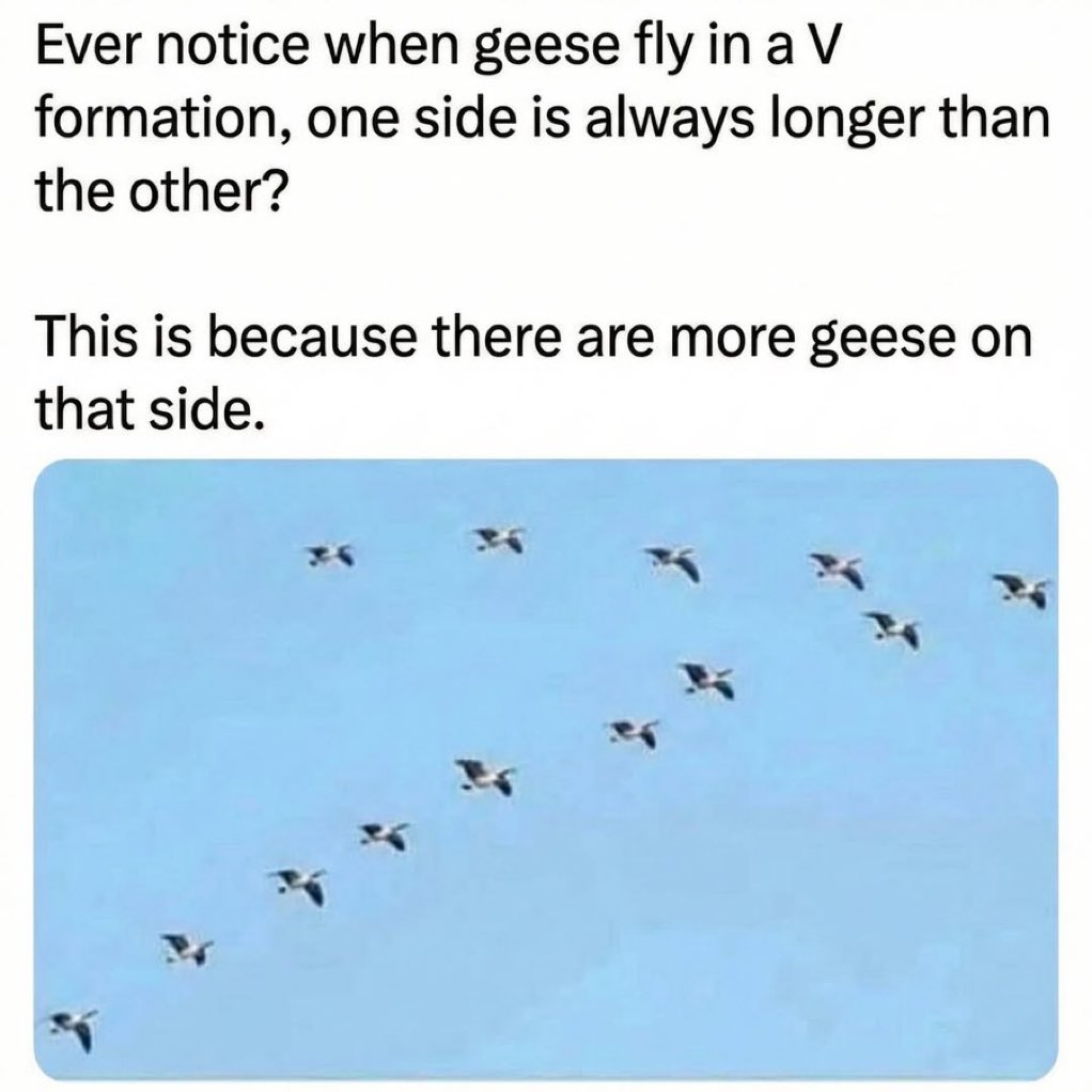 'The Ronster' tweet media