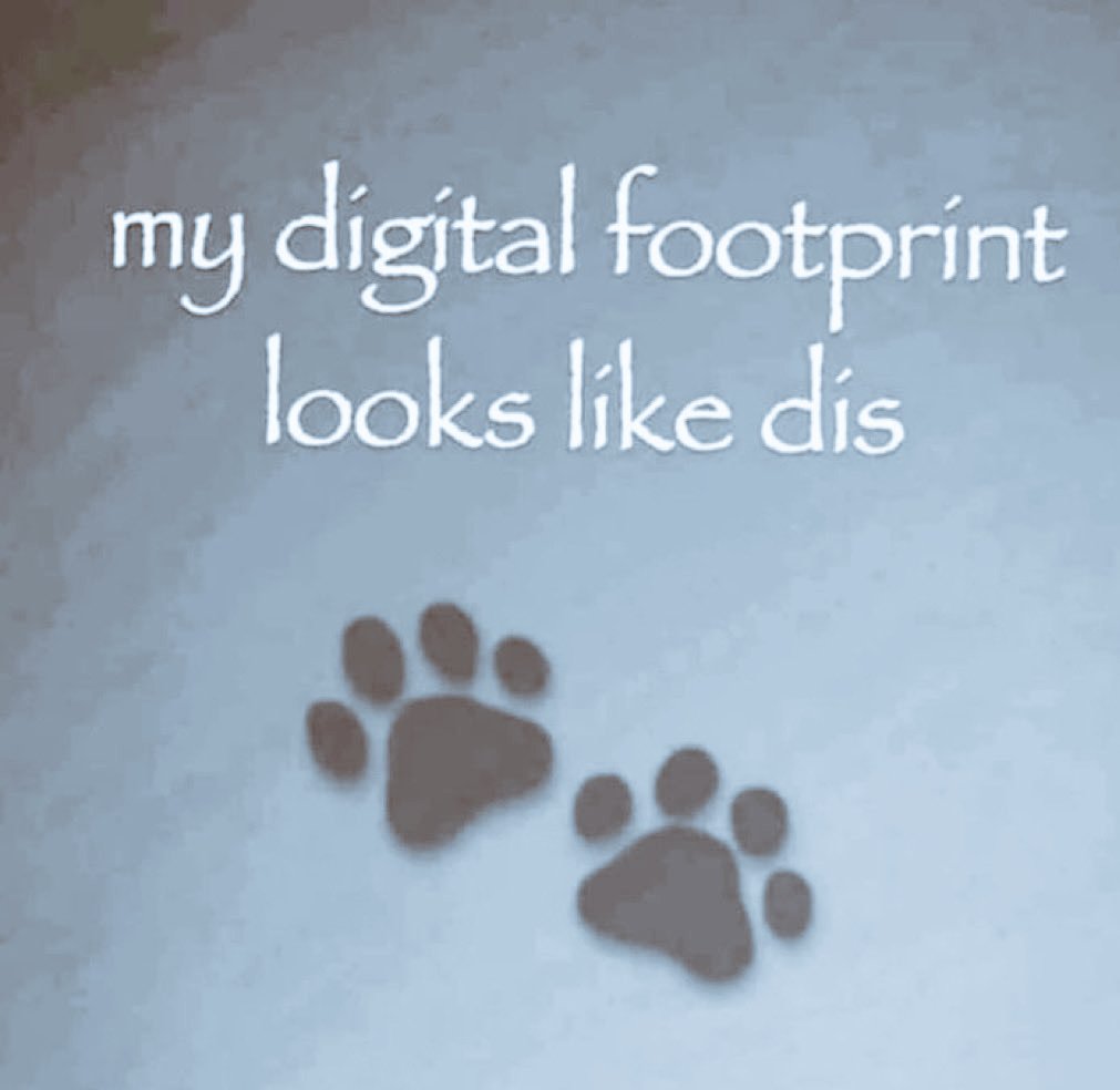 LucyFox🏳️⚧️ tweet media