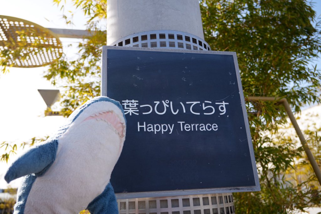 シャーくん tweet media