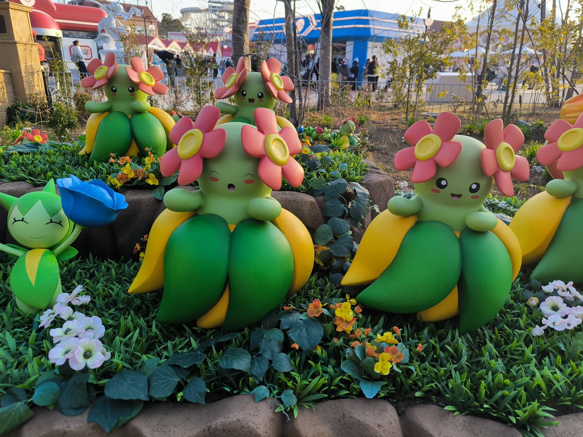 PYつかちゃ@ポケモン垢 tweet media