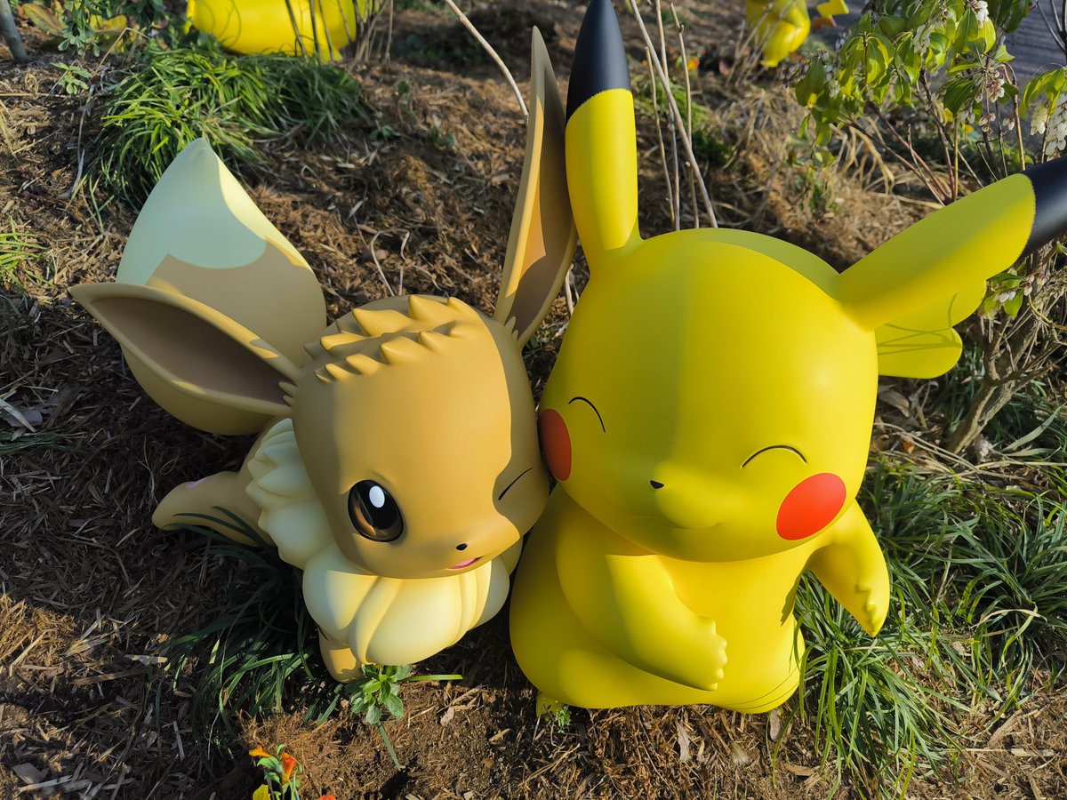 PYつかちゃ@ポケモン垢 tweet media