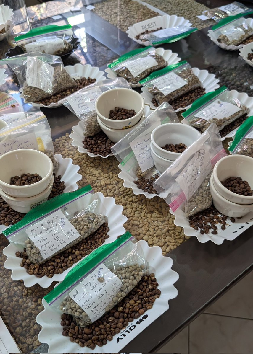 My Latin Life 🌴 tweet media