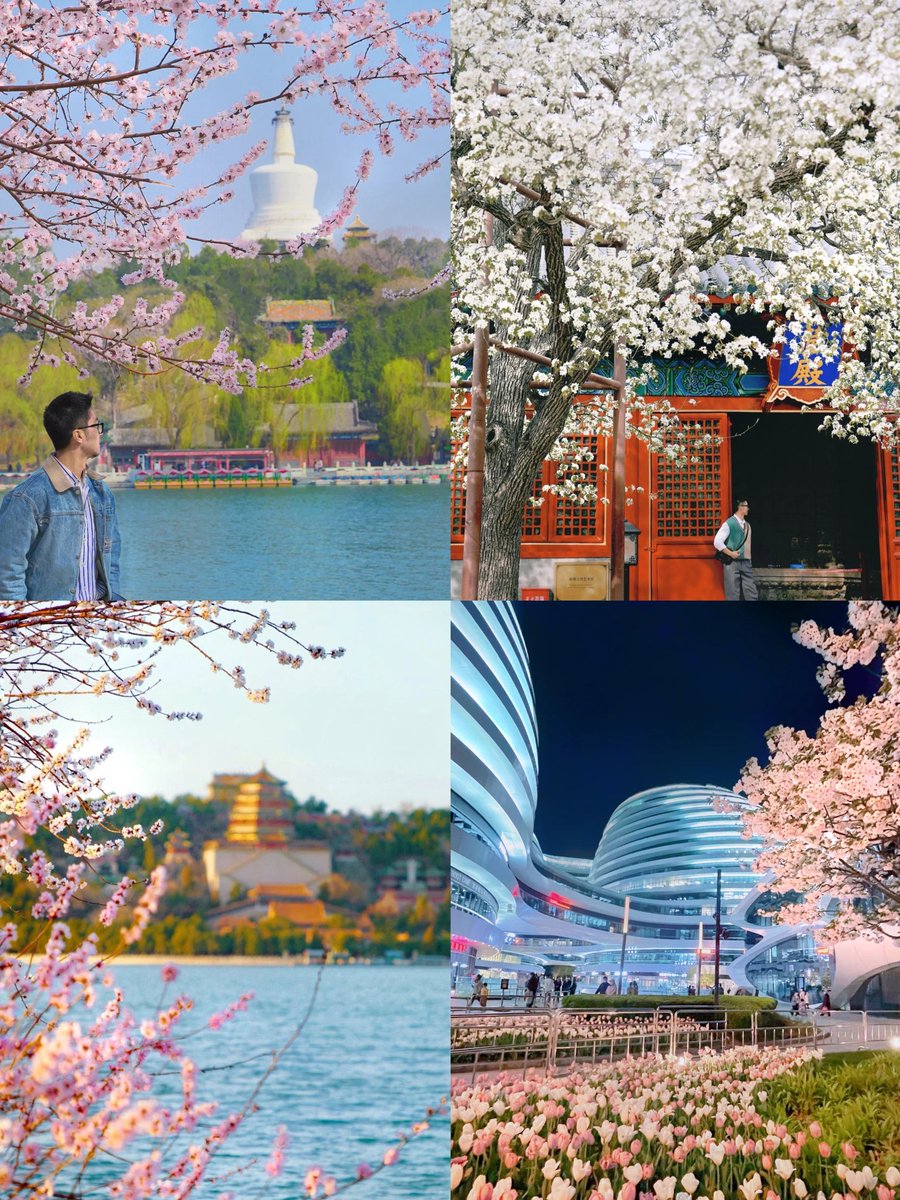 韩美丽🇨🇳（互fo互赞必回） tweet media