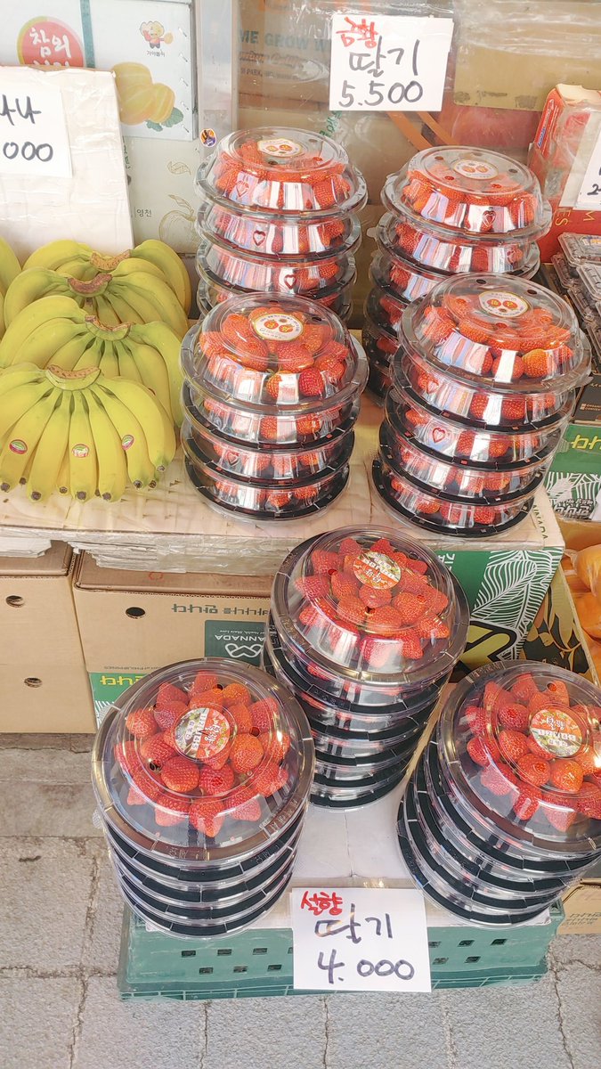 자흔이네 연탄집 tweet media